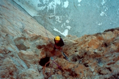 hassebrandler2