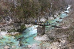 IMG_3702