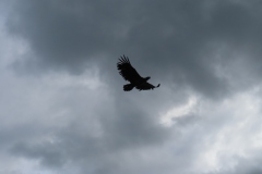 IMG_7669