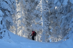 schneeberg5
