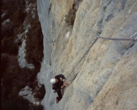 Verdon