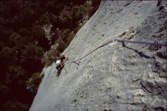 mangoustine2