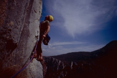 toujourpluspres1